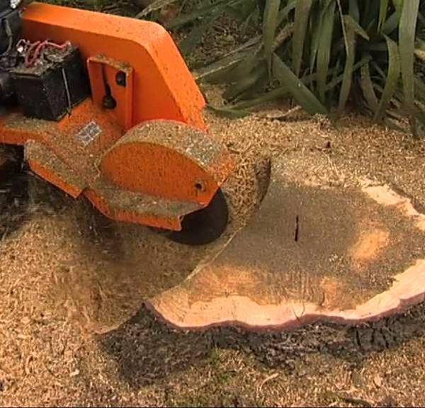 A stump grinder is a large machine that is designed for the removal of tree stumps from the ground. All Sites Brisbane stump grinding There are two main types of stump grinder. The first is a stand-alone machine that is wheeled or driven into position over the stump to be ground out. The second is a vertical attachment stump grinder that may be hooked up to a tractor, excavator or similar farm equipment. Very useful for tree lopping.